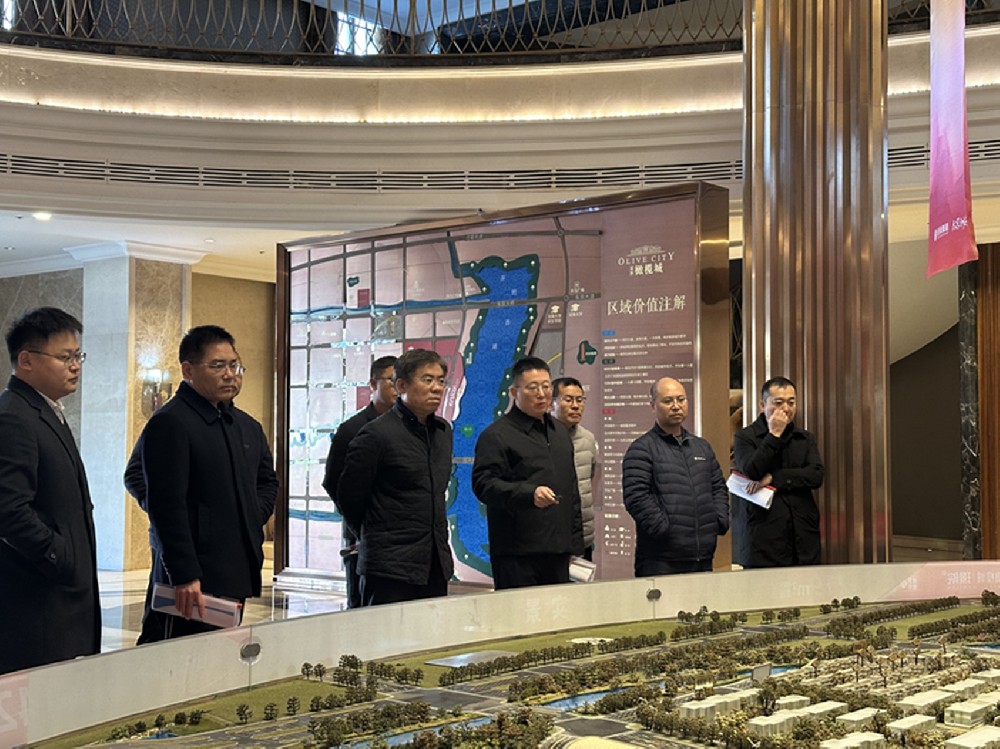 黨委書記、董事長汪洋調研開封項目并指導經(jīng)營發(fā)展工作
